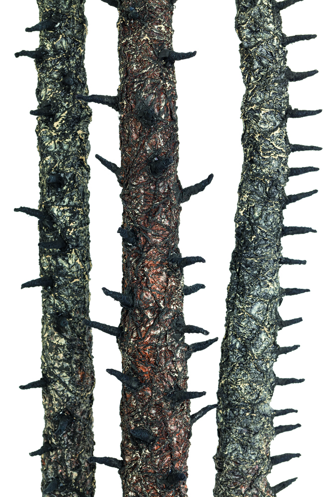 Burnt Trees Detail.jpg